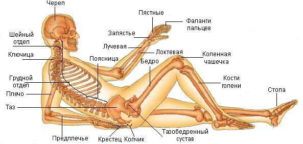 с чего начинается лечение суставов