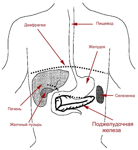 лечение заоблевания поджелудочной железы