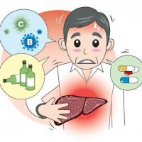Советы врача - подготовка к праздникам и застолью